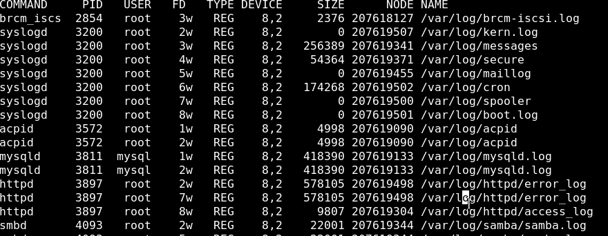 lsof ebadf bad file descriptor